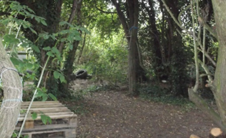 Image of Our Forest School