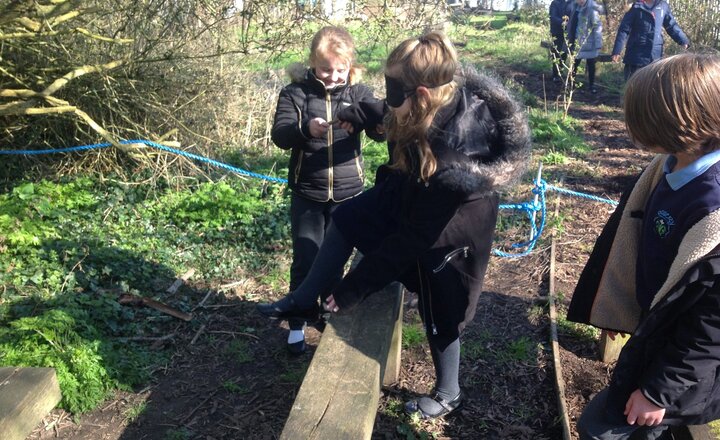 Image of Year 5 at Forest School